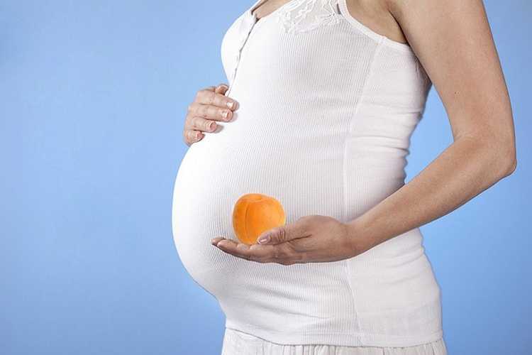 Можно ли есть абрикосы, нектарины и персики при беременности?