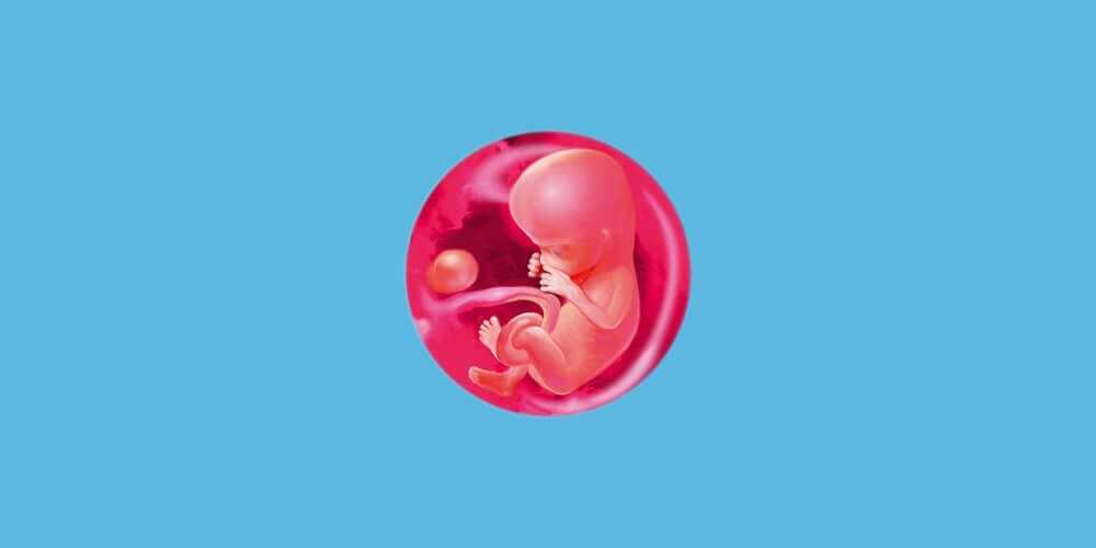 38 неделя беременности: предвестники родов, что происходит с малышом и мамой, фото