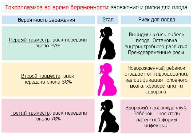 Выделения на ранних сроках беременности