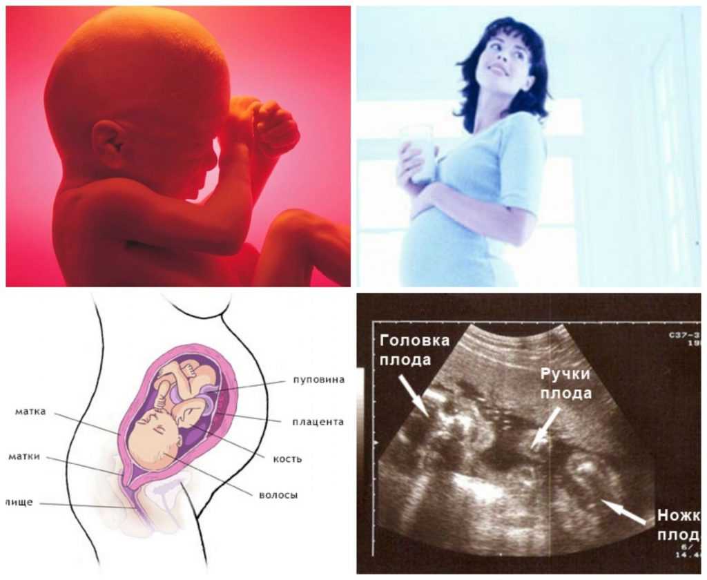 37 неделя беременности: ощущения, предвестники родов