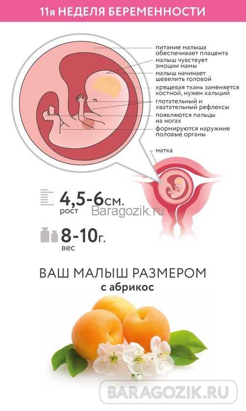 Признаки беременности на ранних сроках: первые симптомы и ощущения на 1 неделе после зачатия и задержки, когда появляются и пропадают