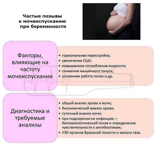 Первые признаки беременности до задержки: какие ранние симптомы до месячных говорят о беременности / mama66.ru
