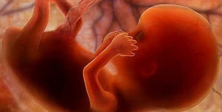 Описание изменений в организме матери и плода на 3 месяце беременности (13 неделя) необходимые обследования и их значение рекомендации и полезные советы
