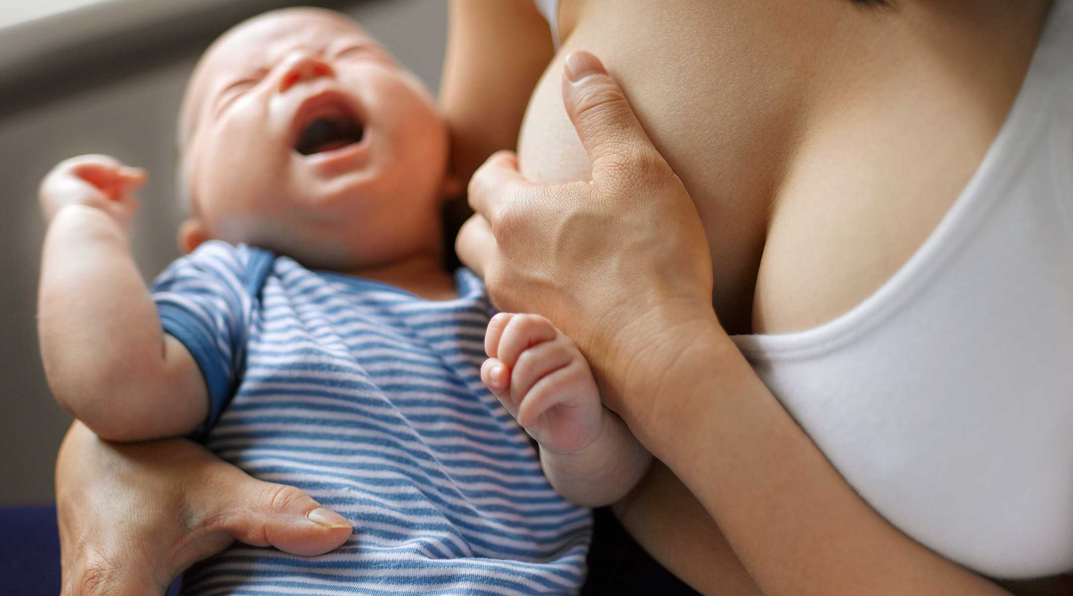 Почему новорожденный плохо берет грудь artdrug.ru