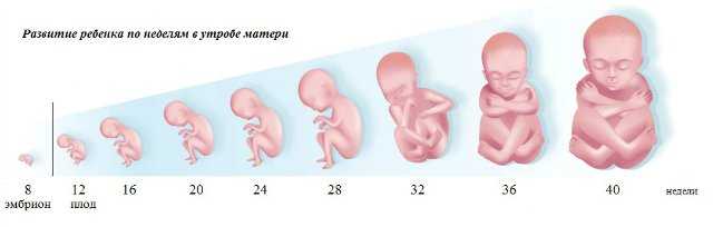 Роды на 35 неделе беременности: особенности и последствия для ребенка, риски - чем опасны