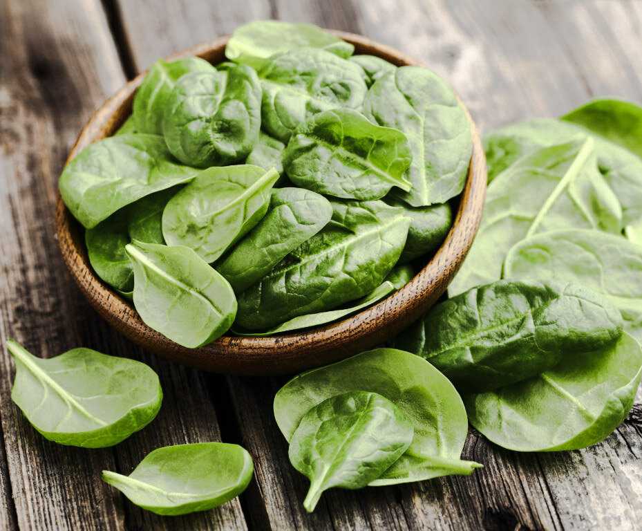 Полезнейшая зелень —  шпинат. советы, как правильно его приготовить и употреблять в пищу