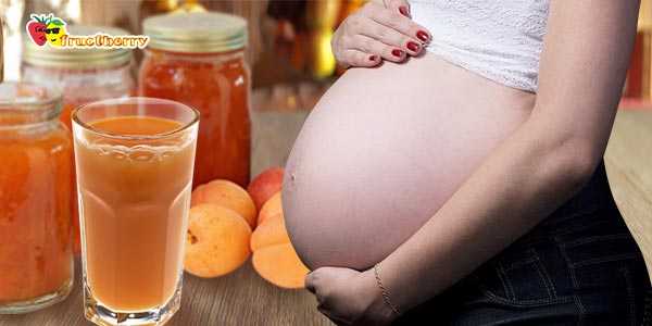Можно абрикосы при беременности и вскармливании – чем опасны эти фрукты? абрикосы кормящим мамам – полезны или нет - автор екатерина данилова - журнал женское мнение