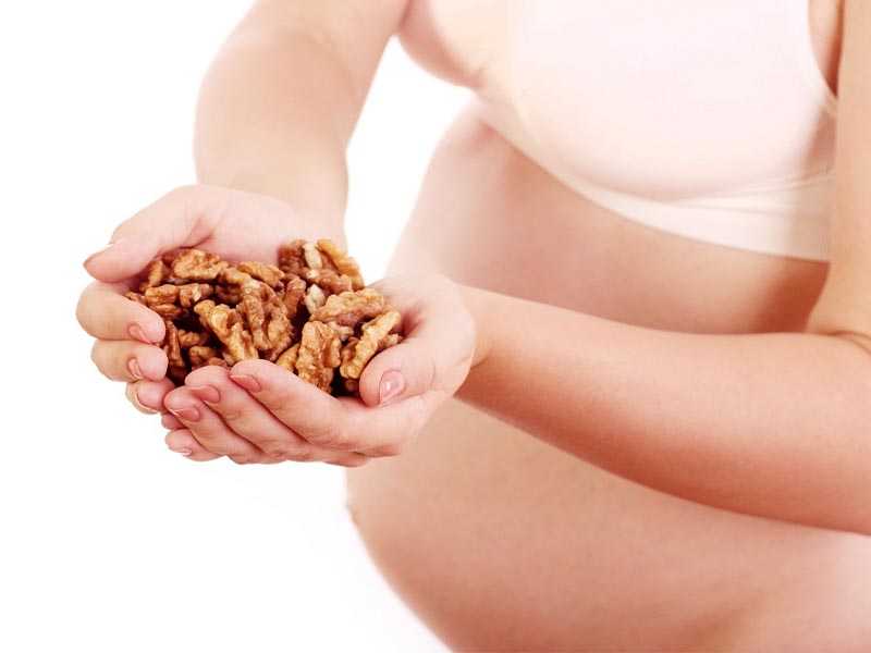 Грецкие орехи при беременности: польза, вред, правила употребления