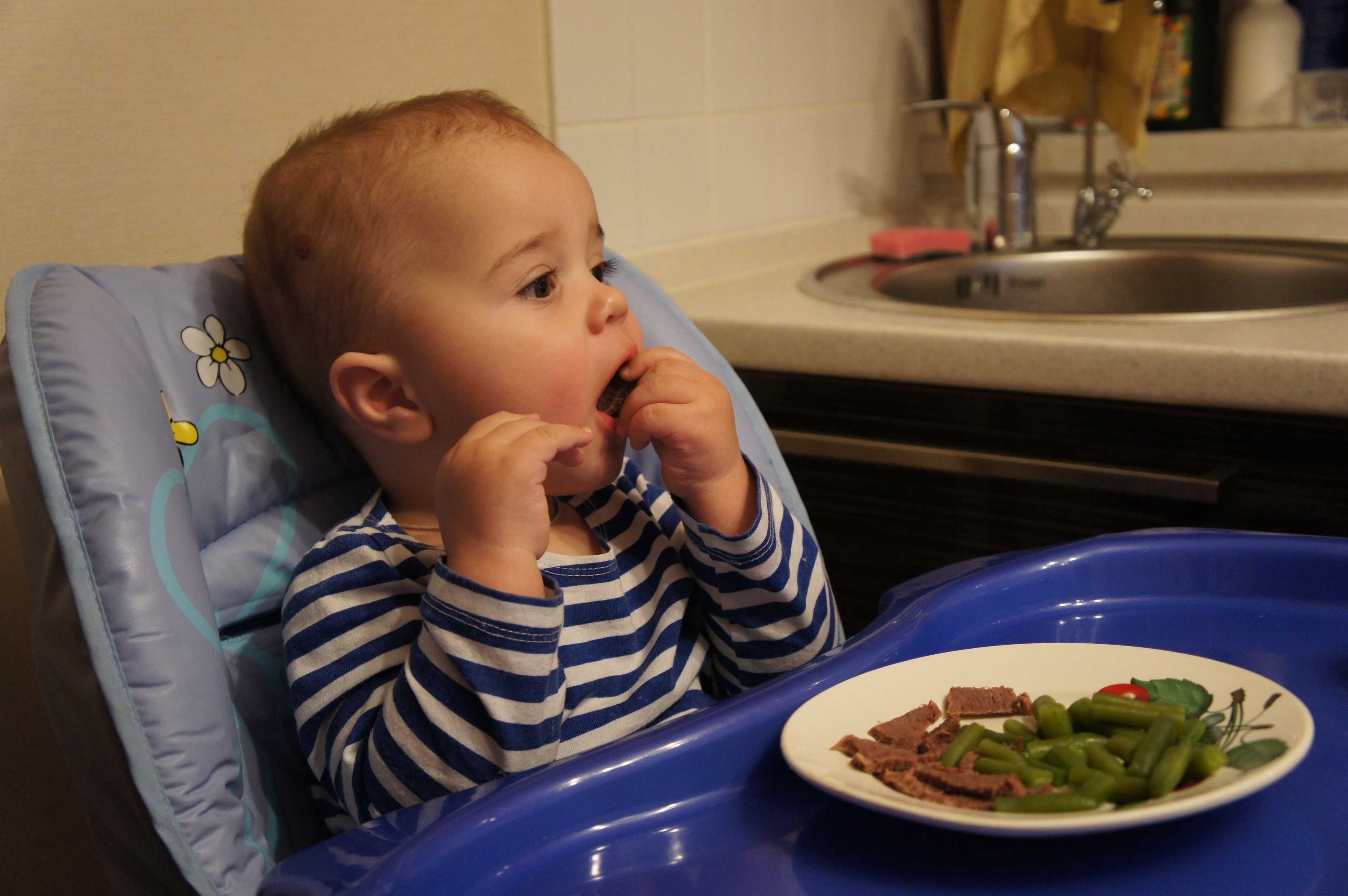 Ребенок не ест вечером. Мальчик ест. Малыш ест несъедобное.