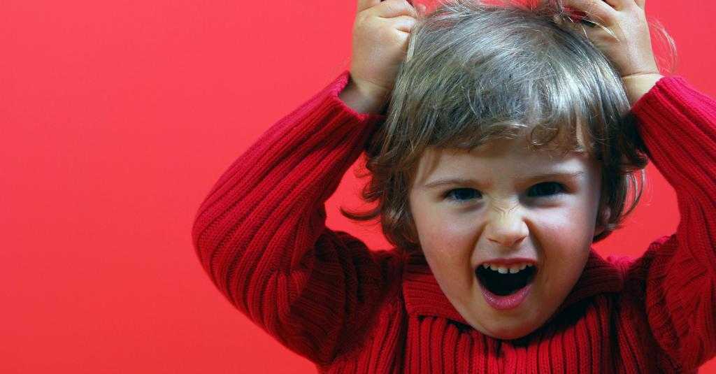 Что делать с непослушным ребенком? советы психологов