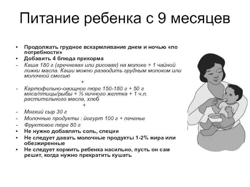 Грудное кормление новорожденного норма. Ночные кормления до какого возраста. Период кормления грудного ребенка. Грудное вскармливание до какого возраста. Кормление грудью схема.