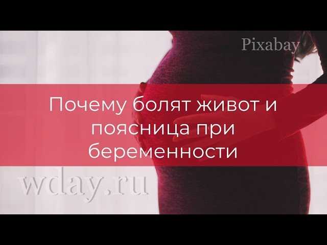 Тяжесть в животе при беременности на ранних и поздних сроках в 1 2 3 триместре