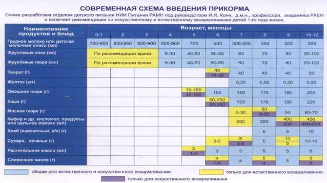 Схема прикорма до года