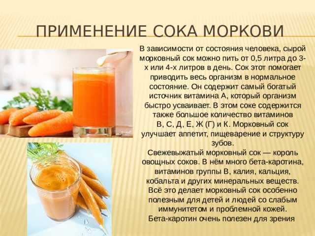 Как вводить морковь в прикорм