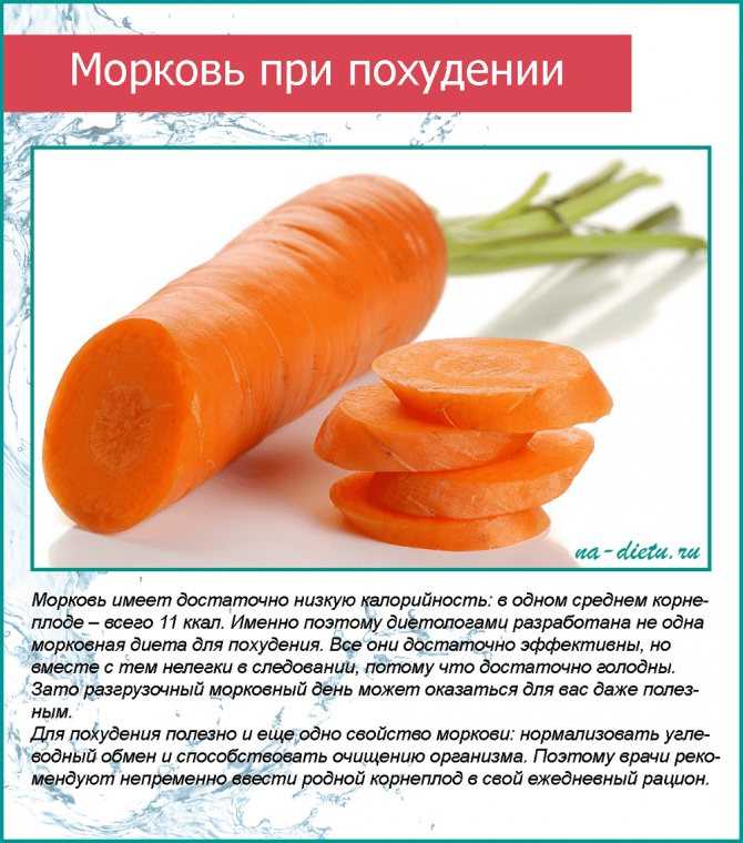 Морковь при беременности: как правильно и сколько употреблять моркови в зависимости от срока беременности