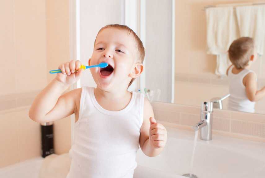 Как научить ребенка чистить зубы в 1,5 года, 2 - 3 года - методика