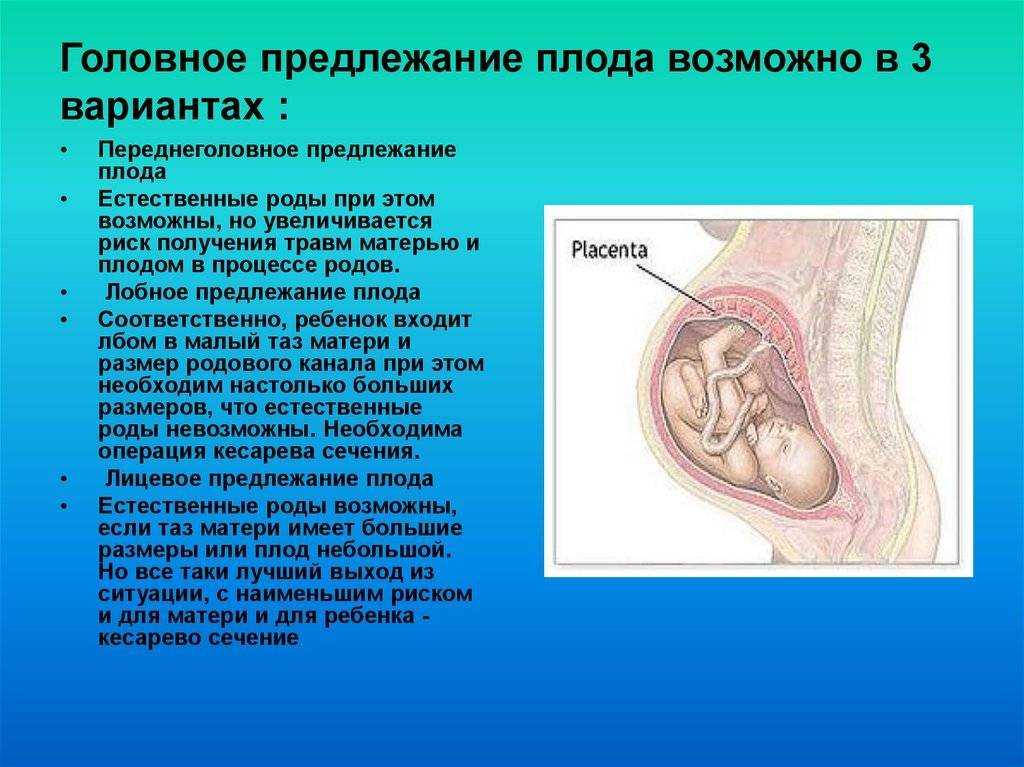 Низкая плацентация при беременности что делать, симптомы и причины