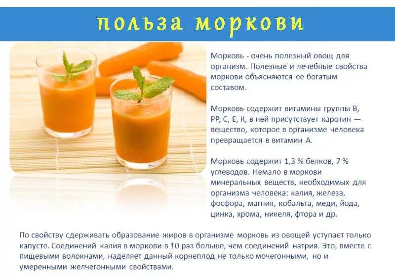 Как вводить морковь в прикорм и со скольки месяцев можно давать ребенку морковные пюре и сок: польза моркови