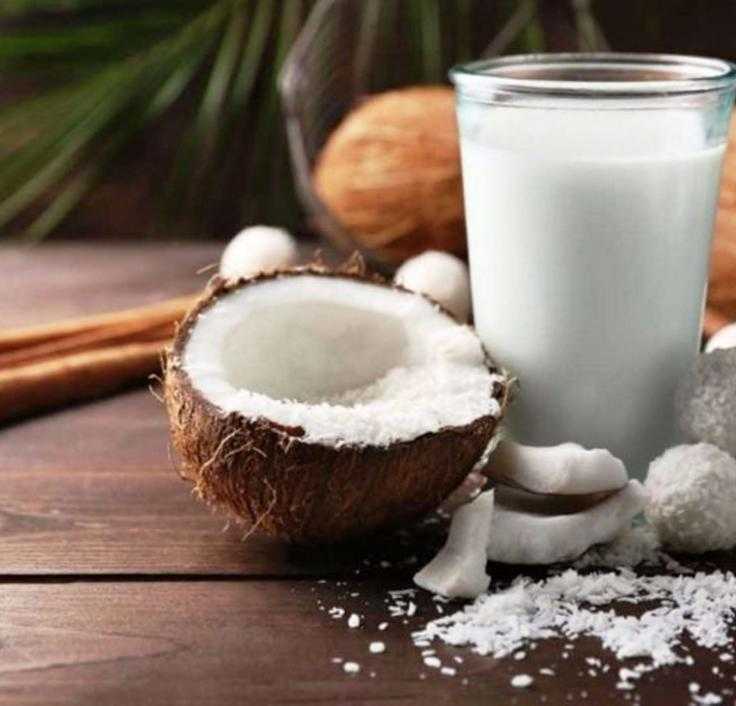 Кокосовое молоко: польза и вред для твоего организма