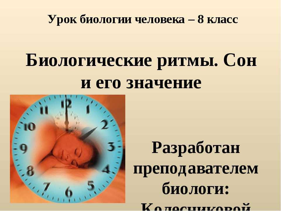 Биологические ритмы сон и его значение. Биоритмы сна. Биологические ритмы человека и сон. Суточный Биоритм. Биологические часы сна для человека.
