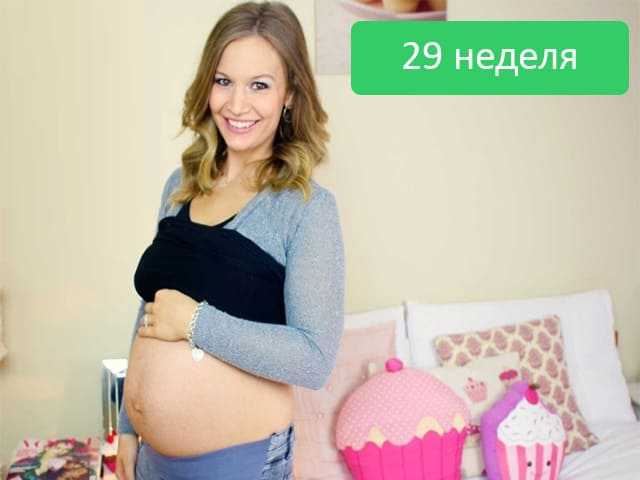 29 неделя беременности: как развивается малыш в утробе матери?