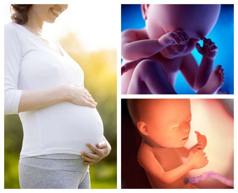 35 неделя беременности - что происходит с малышом и мамой, ощущения в 35 недель