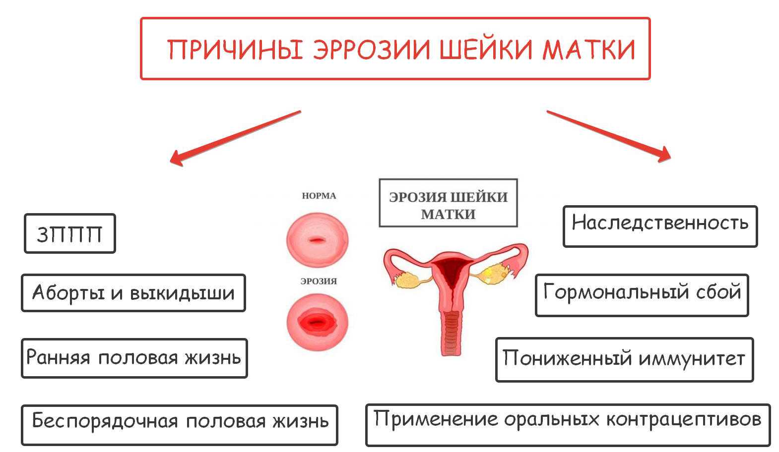 Физиология родов: гормоны и подготовка шейки матки | baby boom - портал будущих родителей