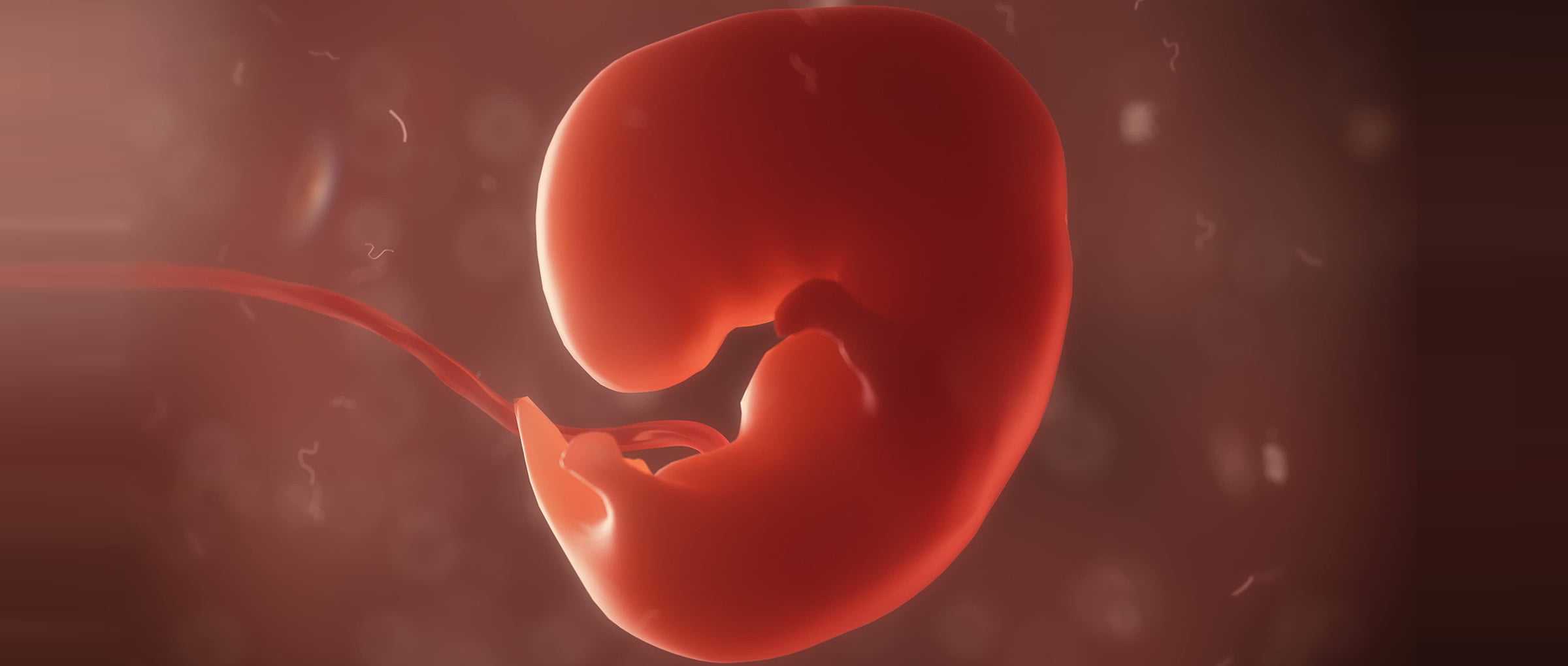 Внутриутробная инфекция: причины и последствия для новорожденного, какие бывают инфекции плода при беременности, признаки и анализы