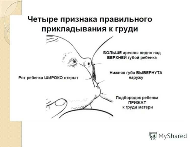 Почему карта не реагирует на прикладывание