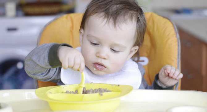 Как научить ребенка жевать и есть твердую пищу