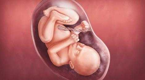 31 неделя беременности: как лежит ребенок в животе?