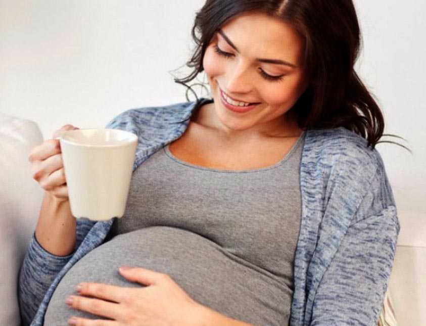 Напитки из цикория во время беременности: польза, противопоказания и рецепты