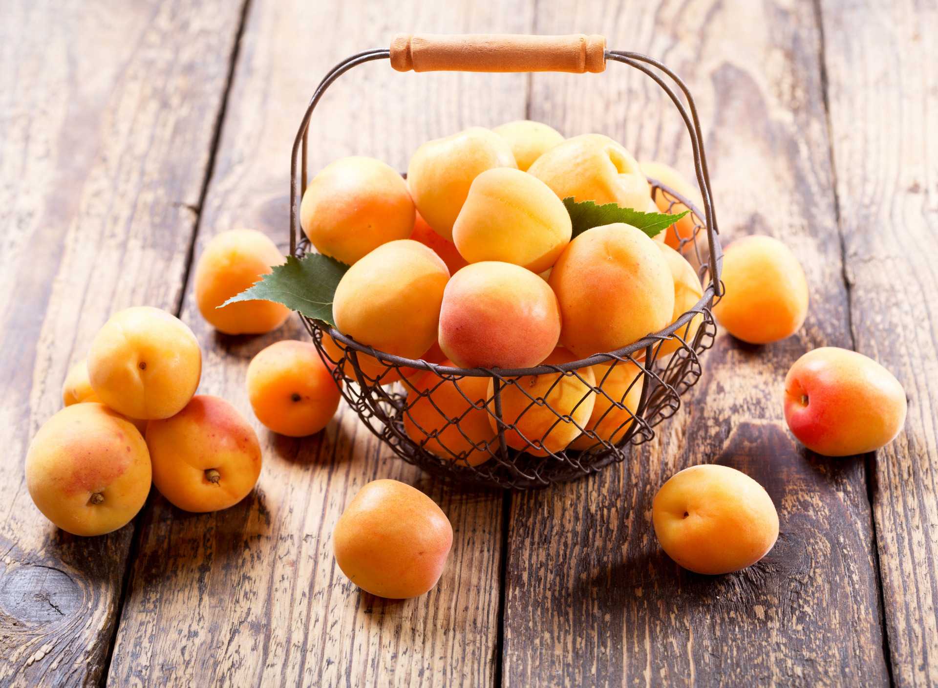 Польза и вред косточек абрикоса для женщин, мужчин, при беременности – хорошие привычки