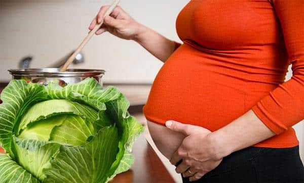 Квашеная капуста при беременности: польза и вред. можно ли есть?