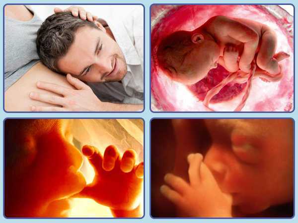 Почему в утробе матери икает. Ребёнок в животе икакт. Беременность ребенок икает в животе.