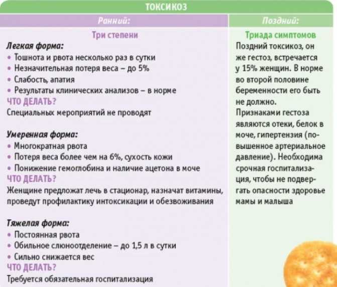 Токсикоз при беременности: виды, причины, что делать и когда необходимо лечение от токсикоза / mama66.ru