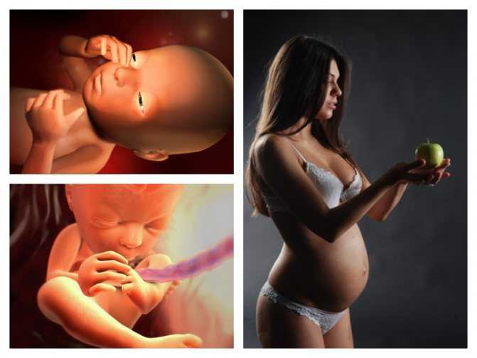 25 неделя беременности: изменения в организме матери и малыша, ощущения, медицинские обследования, питание и режим, факторы риска и опасности. календарь беременности по неделям.