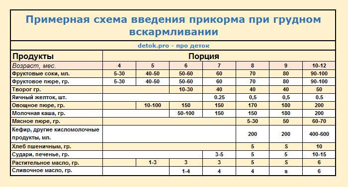 Прикорм в 7 месяцев при грудном. Прикорм в 7 месяцев при грудном