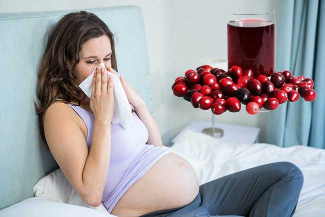 Клюква при беременности: польза, вред и рецепты с ягодой | образ жизни для хорошего здоровья