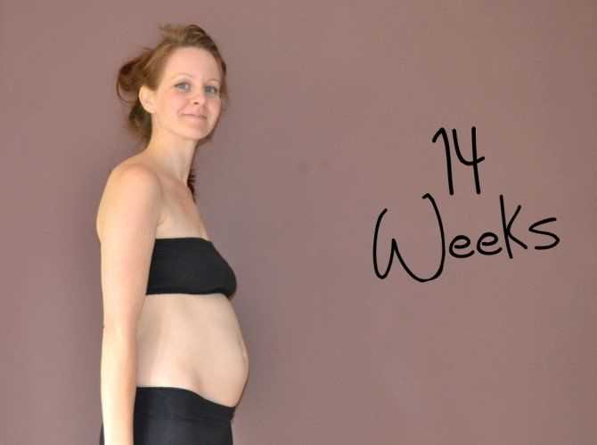 14 неделя беременности — что происходит