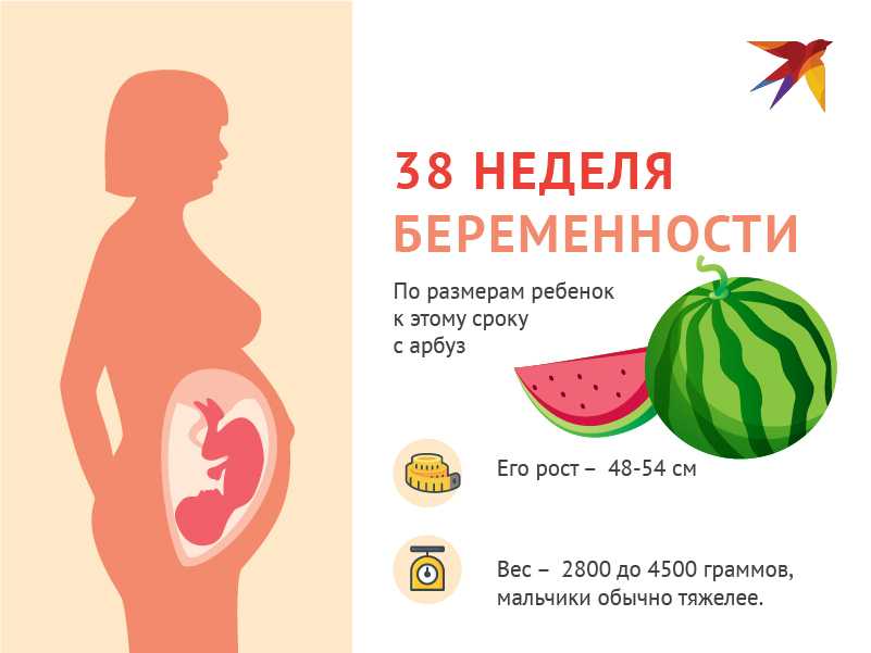 36 неделя беременности: что происходит с плодом и что чувствует женщина