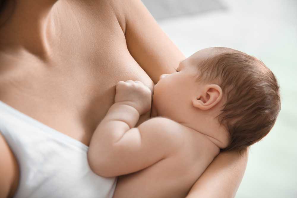 Продукты, повышающие лактацию грудного молока и его жирность после родов