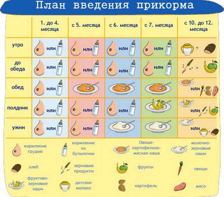 Схема прикорма до года по месяцам