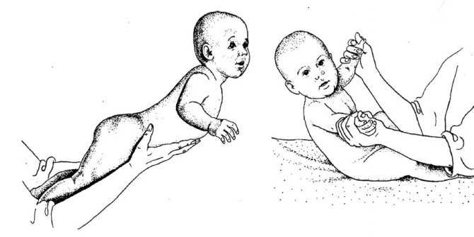 Средства от коликов для новорожденных: фитопрепараты, с ферментами, с пробиотиками