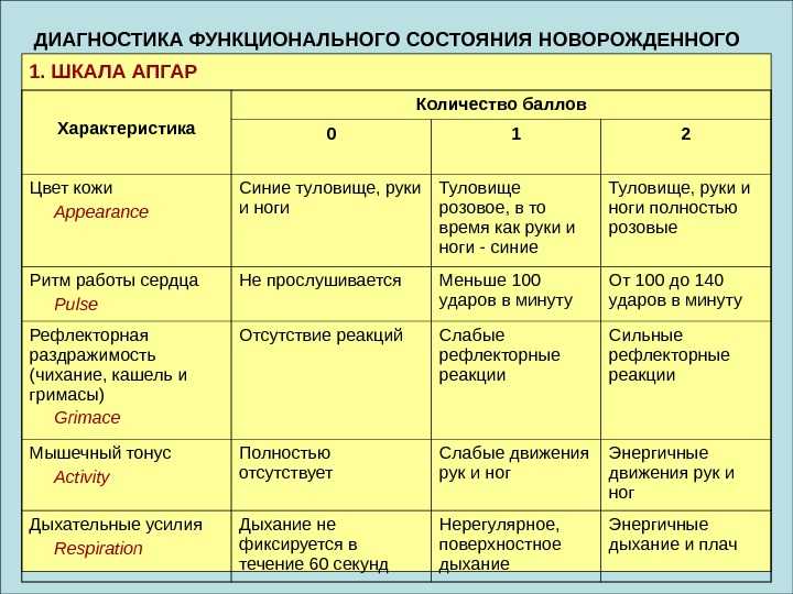 Оценка новорожденного по шкале апгар презентация