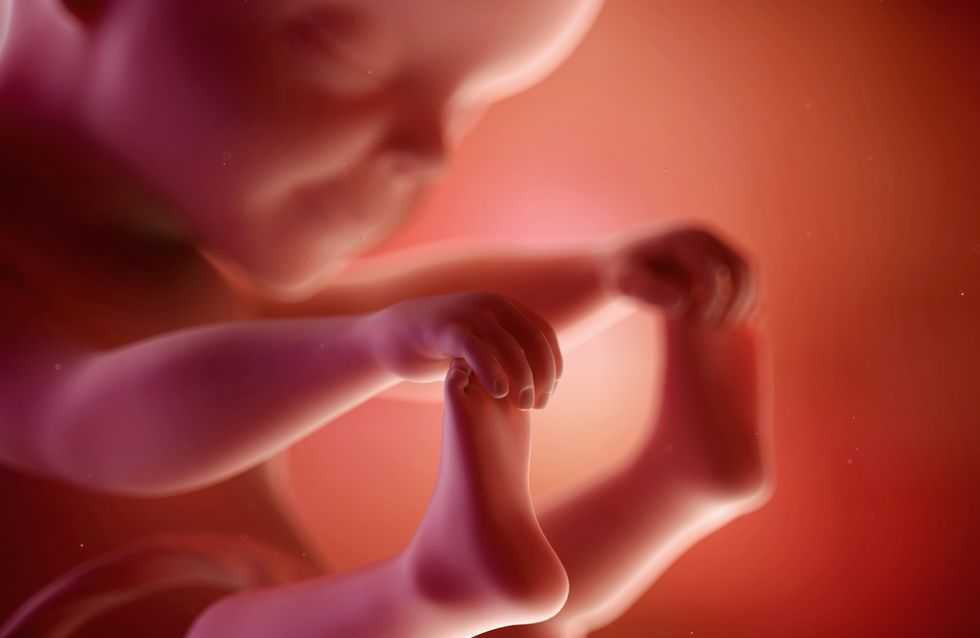 25 недель беременности: что происходит с малышом и мамой?