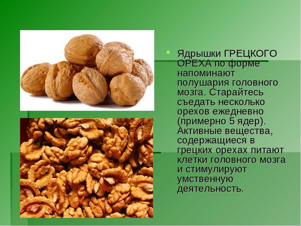 Грецкие орехи при беременности: в чем польза и вред, как часто кушать?