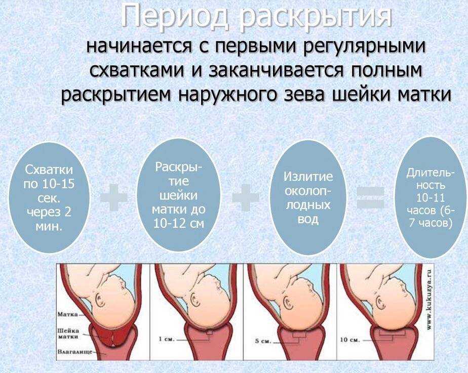 Предвестники родов при 2 беременности