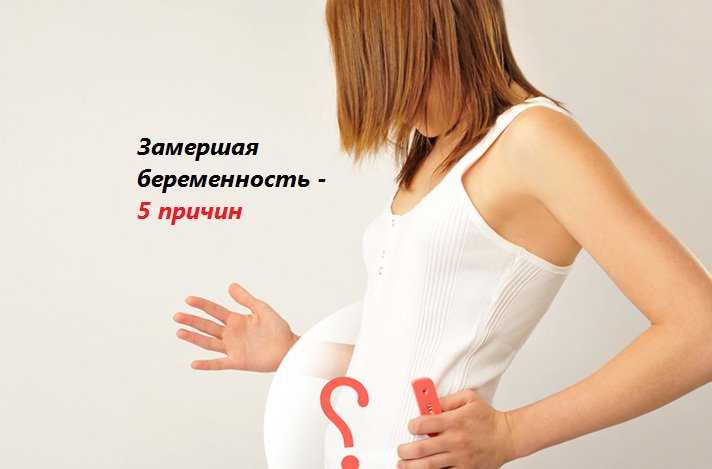 На каком сроке узи показывает беременность