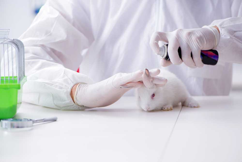 Эксперименты с людьми и животными, повлиявшие на развитие психологии